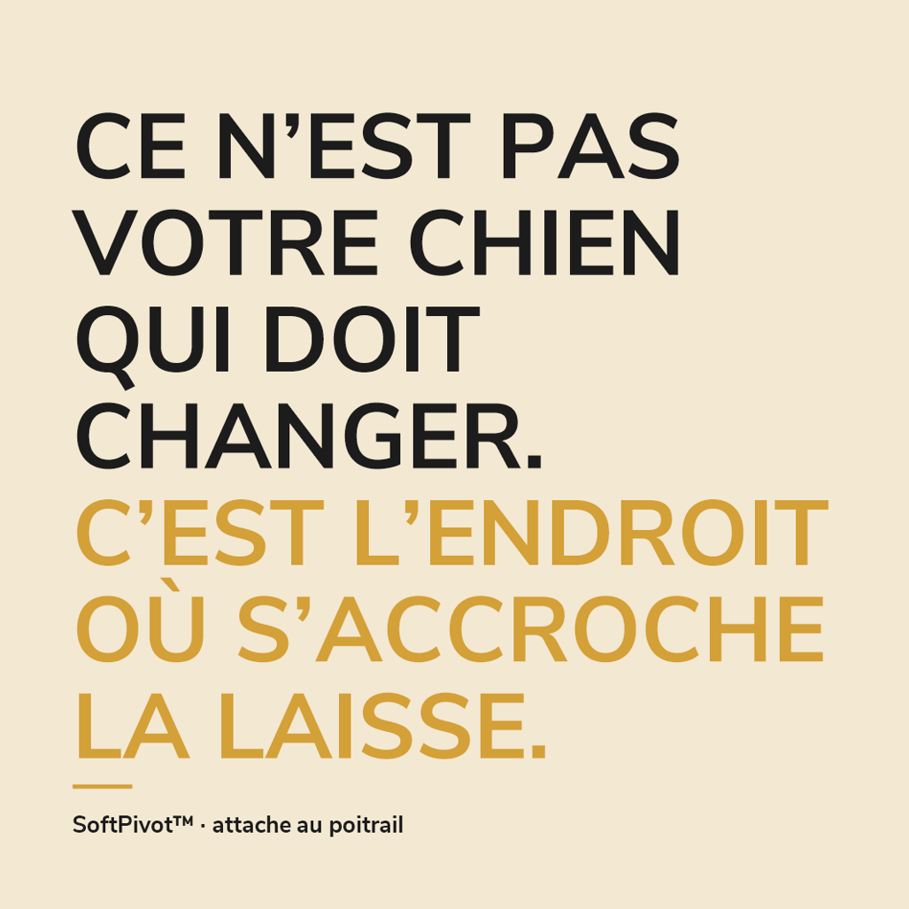 SoftPivot™